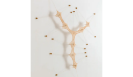 ernestoneto_260502_01