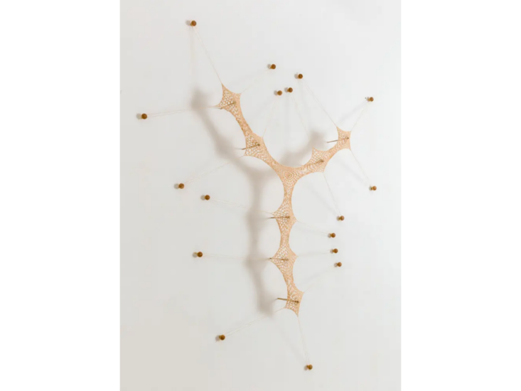 Ernesto Neto　InsePaBi 8　2026