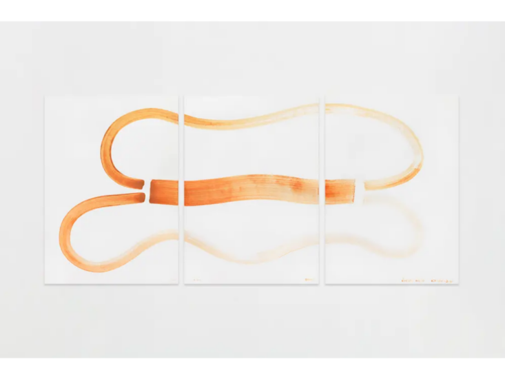 Ernesto Neto　we cell dance　2024