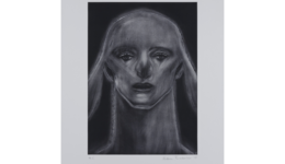 katsurafunakoshi_130430