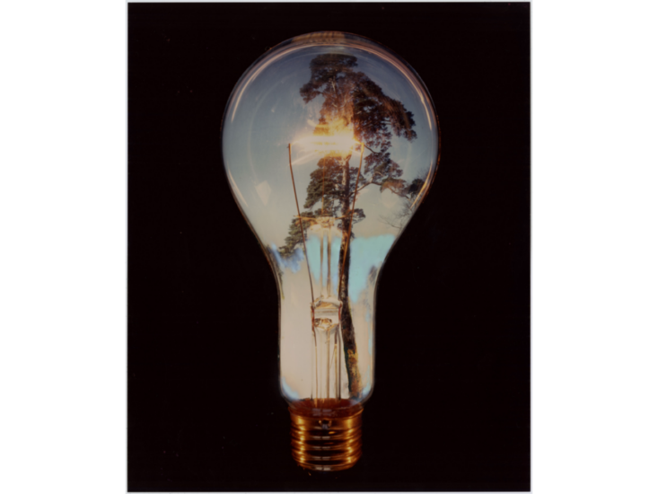 須賀啓　松は電球をとらえた・・・