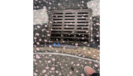 margaretlee_260425
