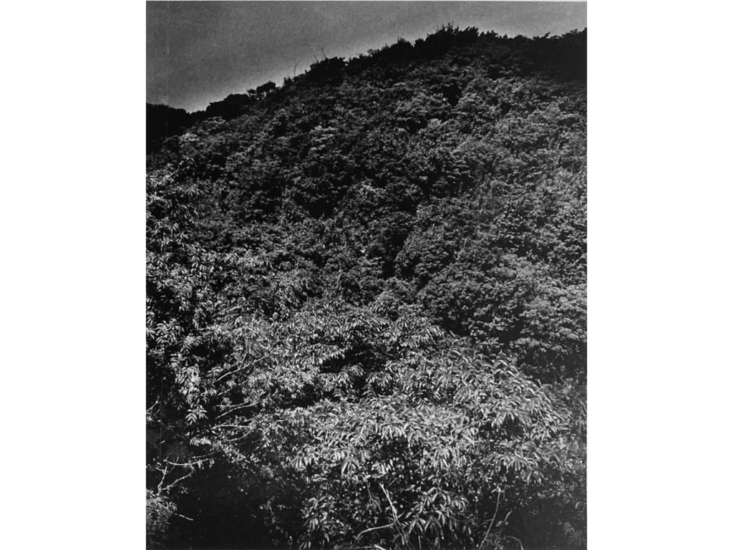 森山大道　続・にっぽん劇場写真帖　1978/vintage