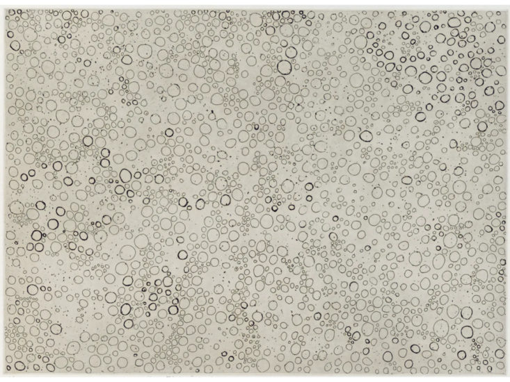 草間彌生　Dots Accumulation　1995