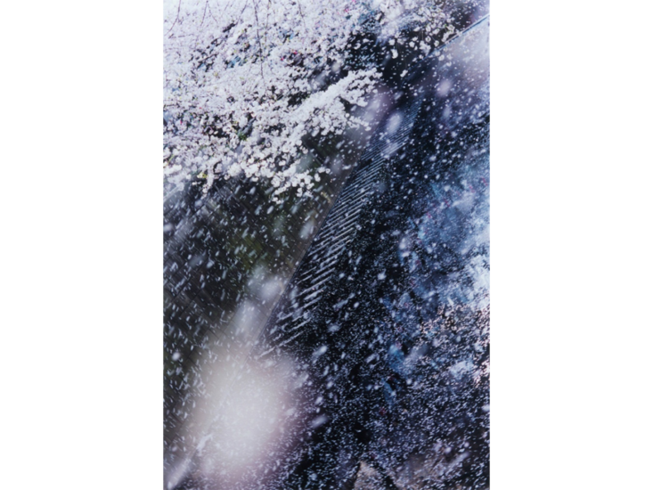 蜷川実花　PLANT A TREE　2011