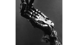 robertlongo_260416_01