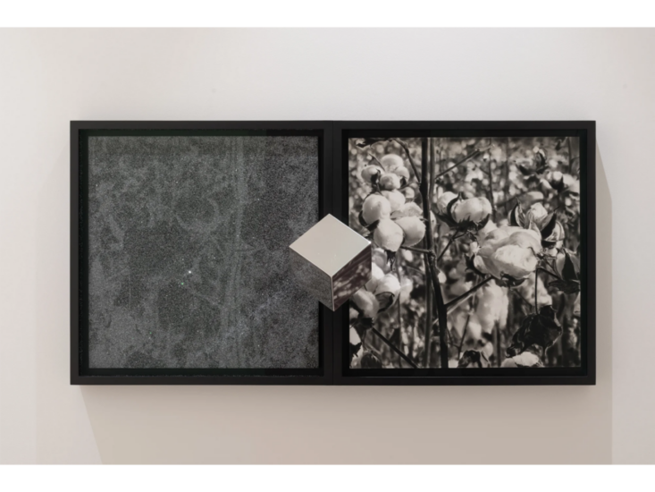 Robert Longo　Maquette for Wolf　2025