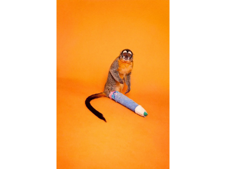 Ryan McGinley　Howling Monkey (Broken Leg)　2012