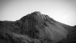 takeharuogai_260704
