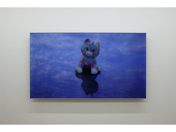 Mark Leckey　DAZZLEDARK