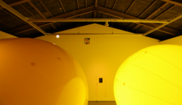 hiroshisugito_110305_01