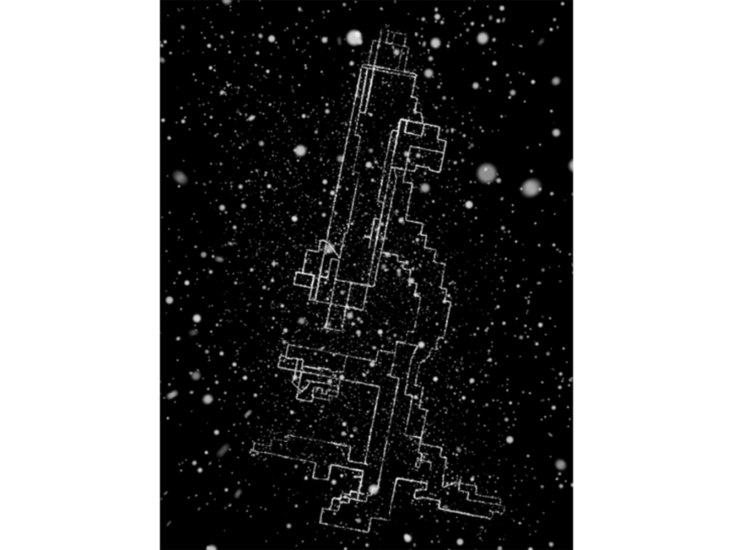 Jun Nguyen-Hatsushiba　Breathing is Free: 12,756.3 - Chicago Microscope (A Self-portrait), 88.5km　2010