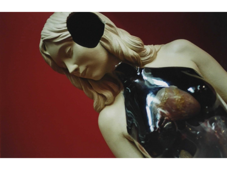 蜷川実花　noir　2010