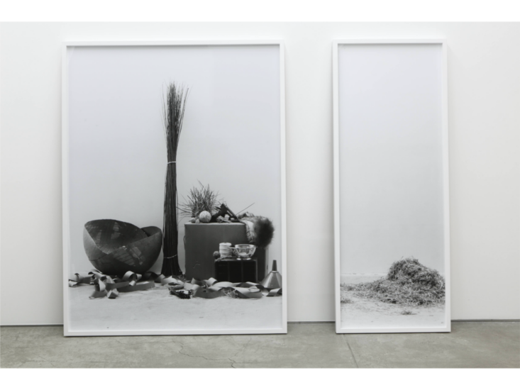 Ryan Gander　Inprofessionalist　2014