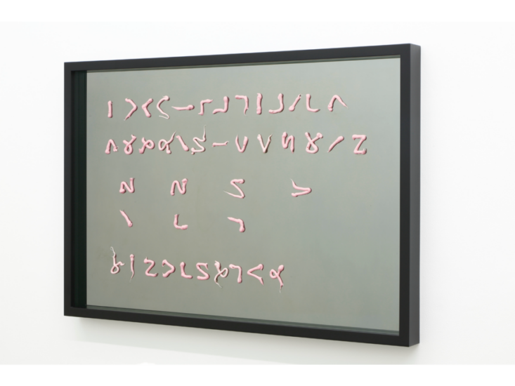 Ryan Gander　Investigation #90 - If it's not brogue don't biscuit　2013