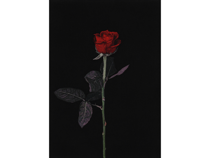 青山悟　Roses 4/6　2011