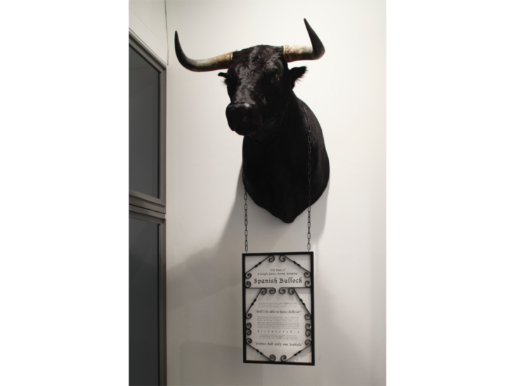 Simon Fujiwara　A Single, Hairy, Horny, Hanging, Spanish Bullock　2010