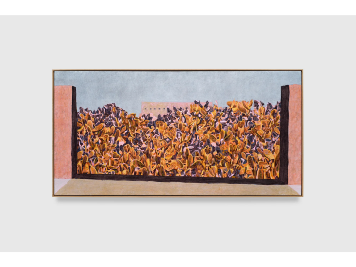 William Monk　Cactus Garden Ⅱ　2025