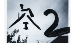 nobuyoshiaraki_091219_01