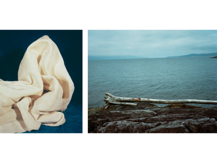 Sarah Conaway　White And Blue Fold　2014 ／ Melanie Schiff　Blood Bank　2012