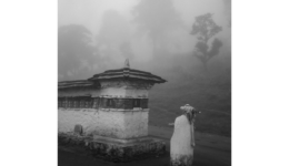 naotsuda_140628_01
