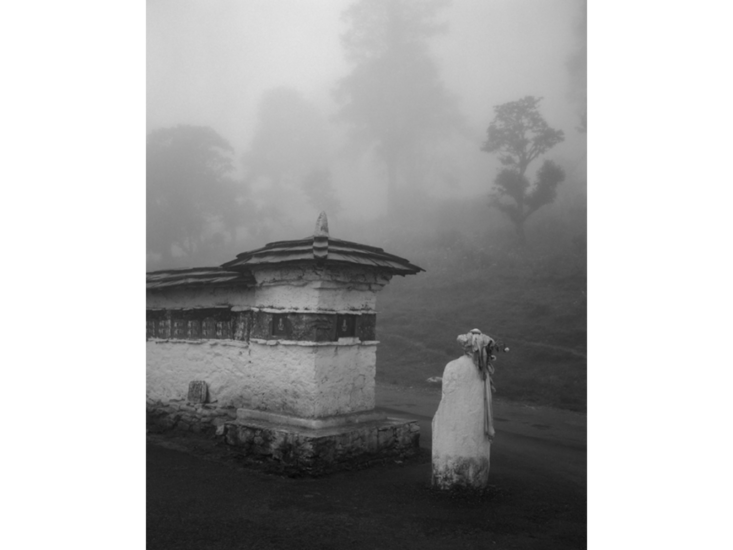 津田直　REBORN － Platinum Print Series #2　2014